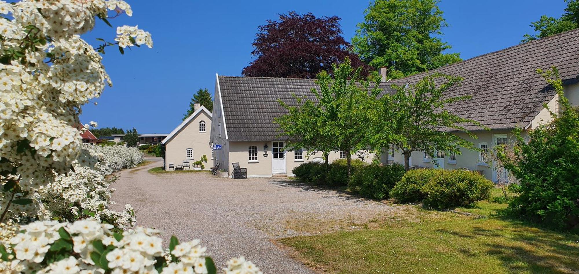 Store Ejlstrup Bed & Breakfast Одензе Екстериор снимка